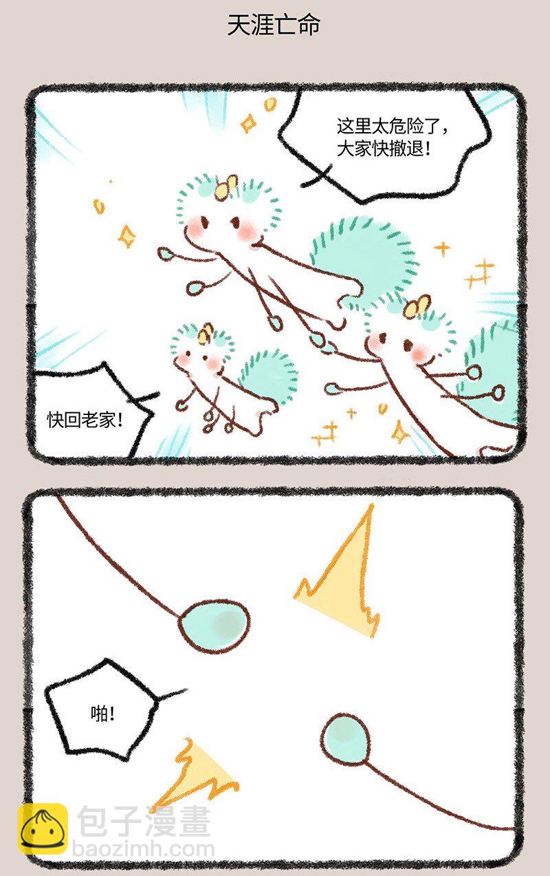 575 壮烈成仁小精灵4