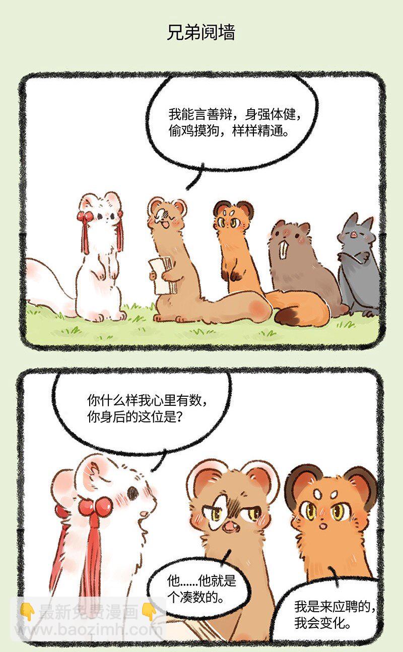 581 新任左护法4
