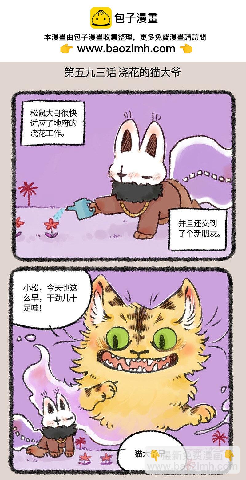 593 浇花的猫大爷1