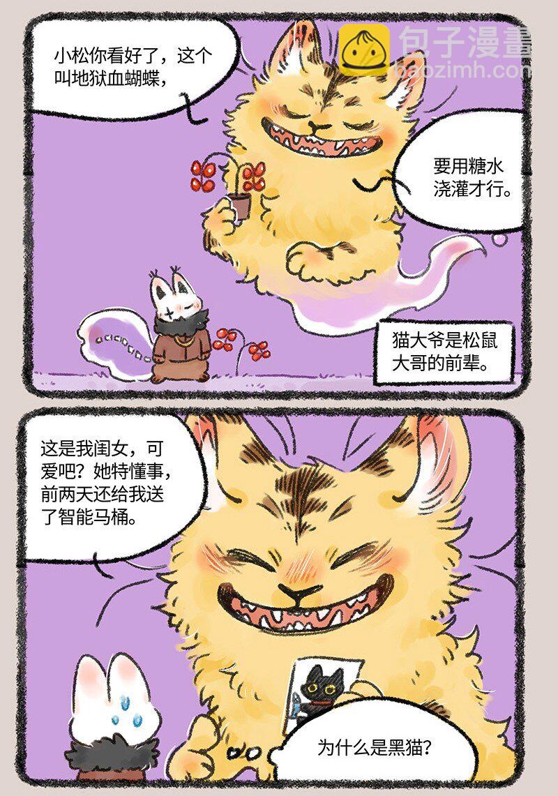 593 浇花的猫大爷2
