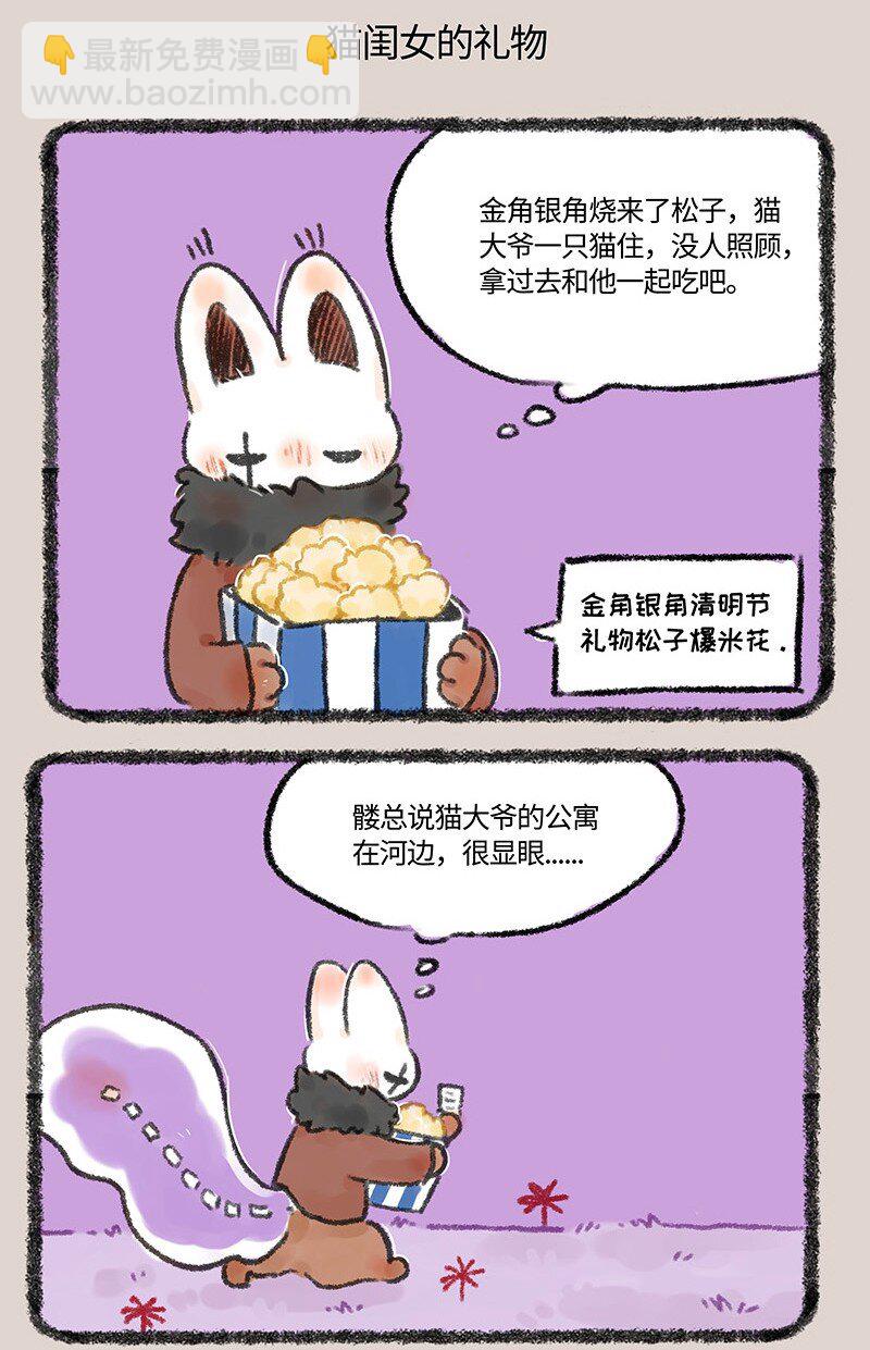 593 浇花的猫大爷4