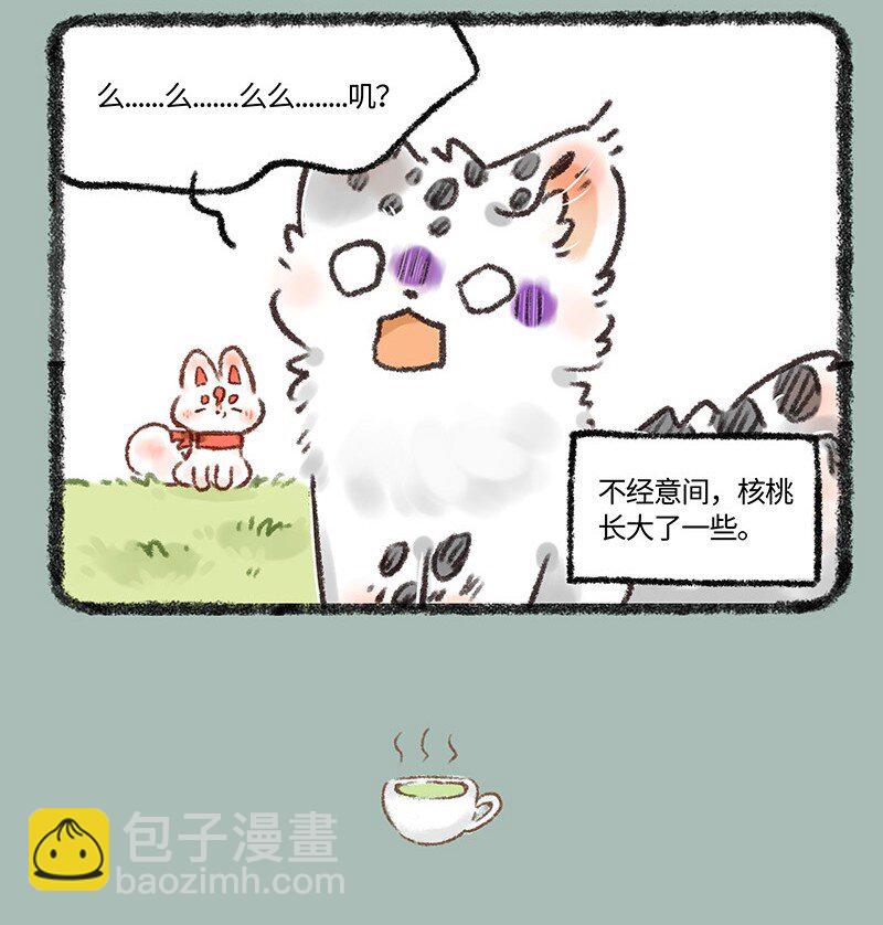 594 茶鸭自有茶鸭报3