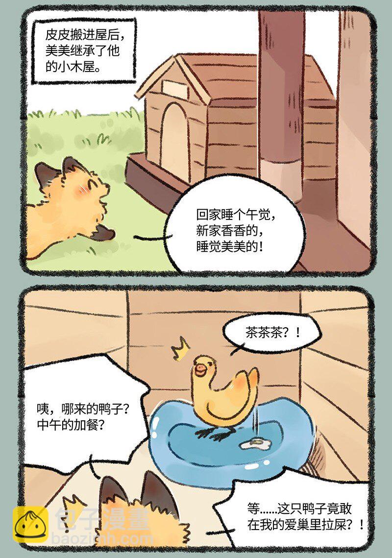 594 茶鸭自有茶鸭报5