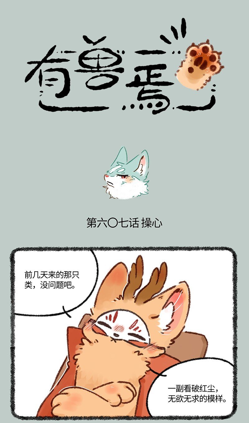 607 投喂猫猫类0