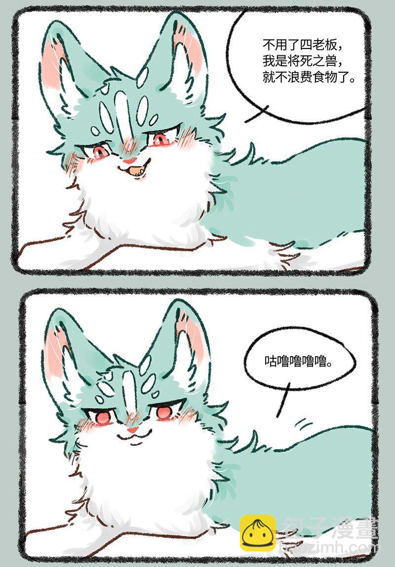 607 投喂猫猫类4