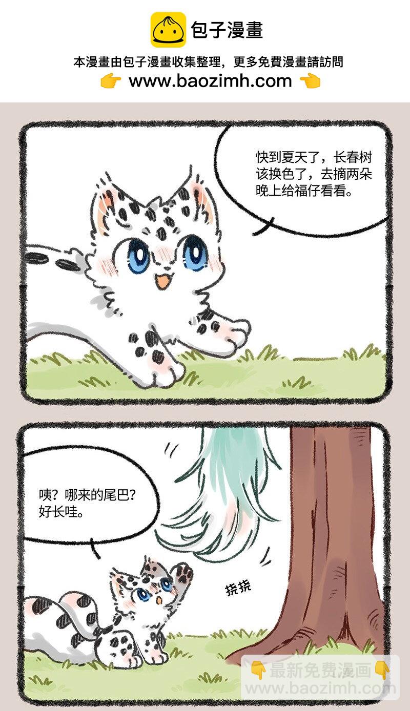 611 猫猫哄孩子1