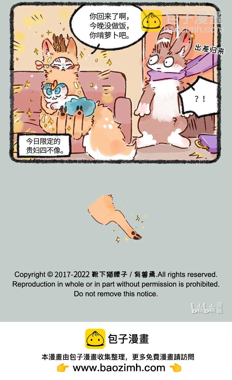 617 精致的一天6