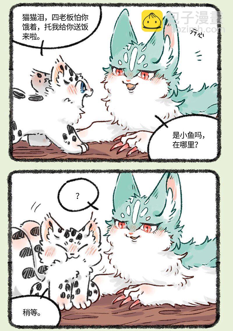 618 饥饿的猫猫类4