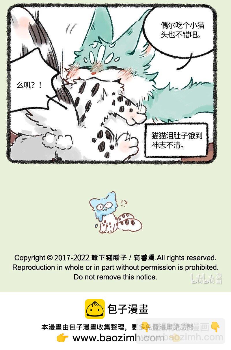 618 饥饿的猫猫类6