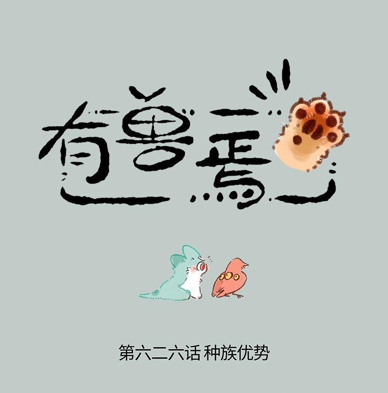 626 毛毛的成长日记0