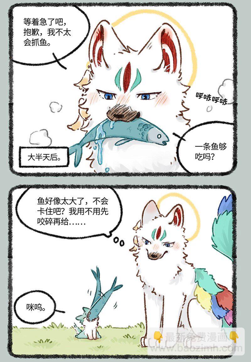 626 毛毛的成长日记2