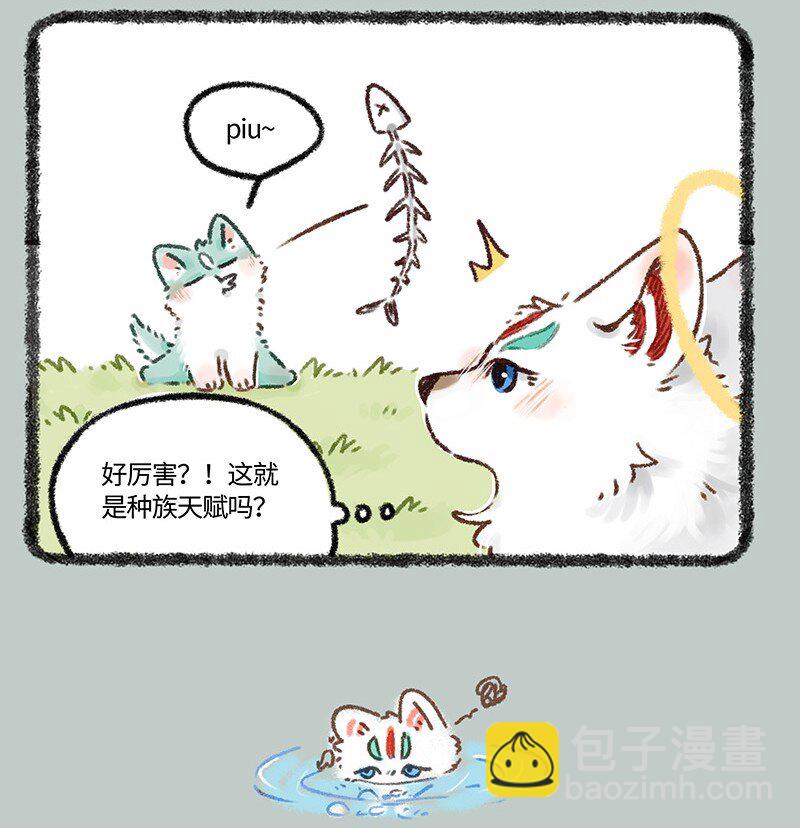 626 毛毛的成长日记3