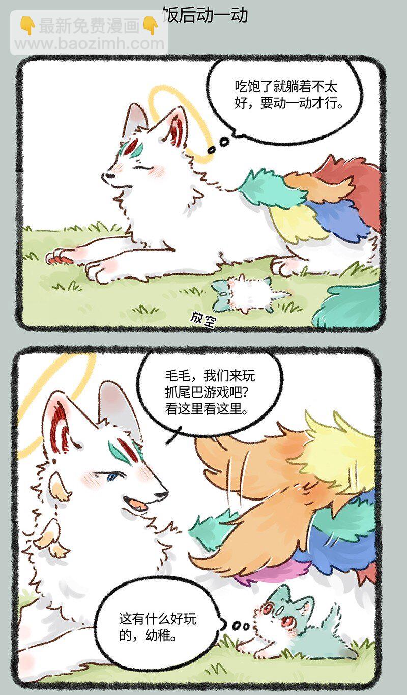 626 毛毛的成长日记4