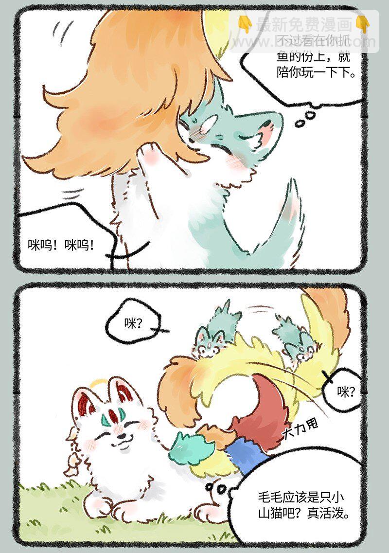 626 毛毛的成长日记5
