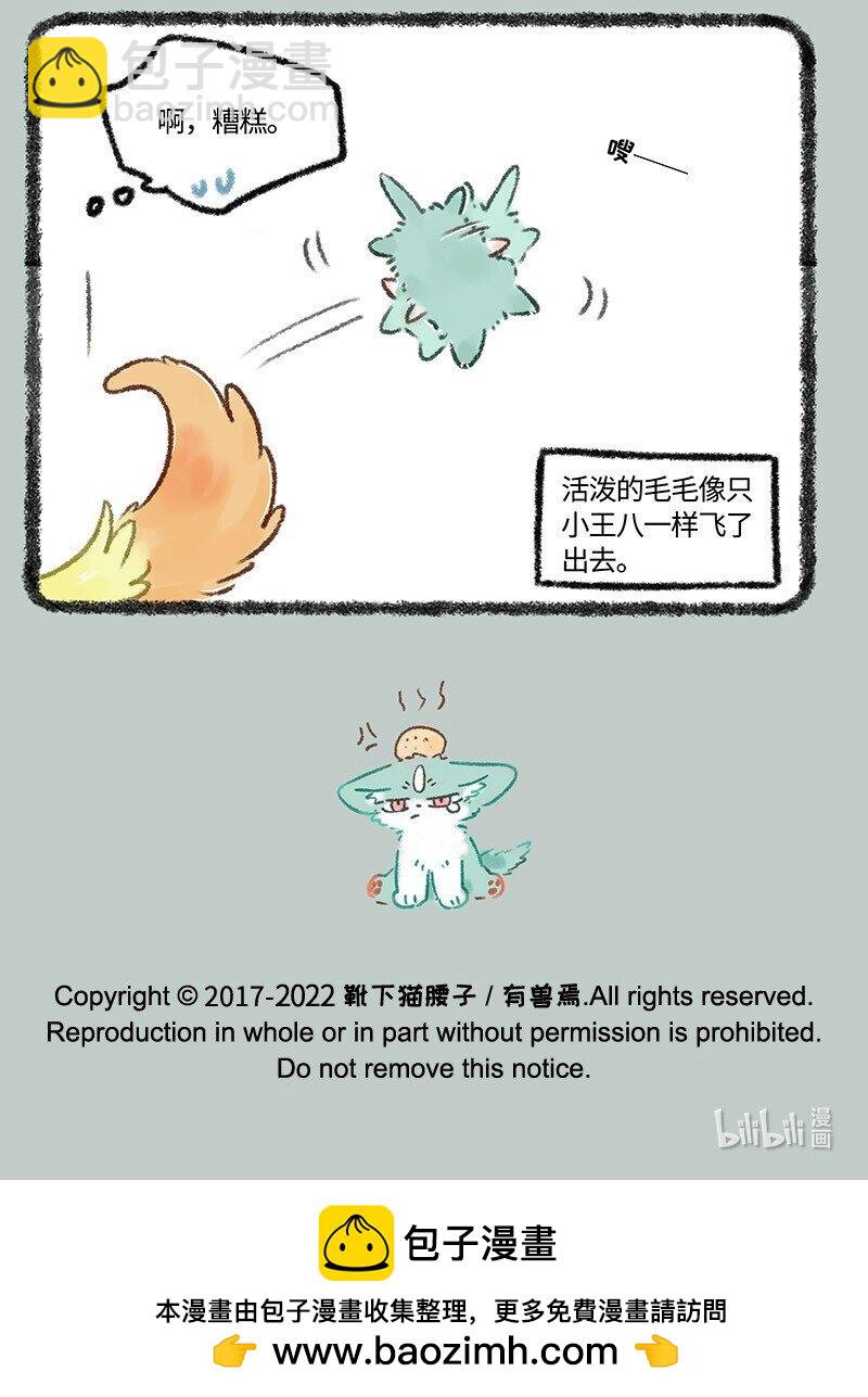 626 毛毛的成长日记6