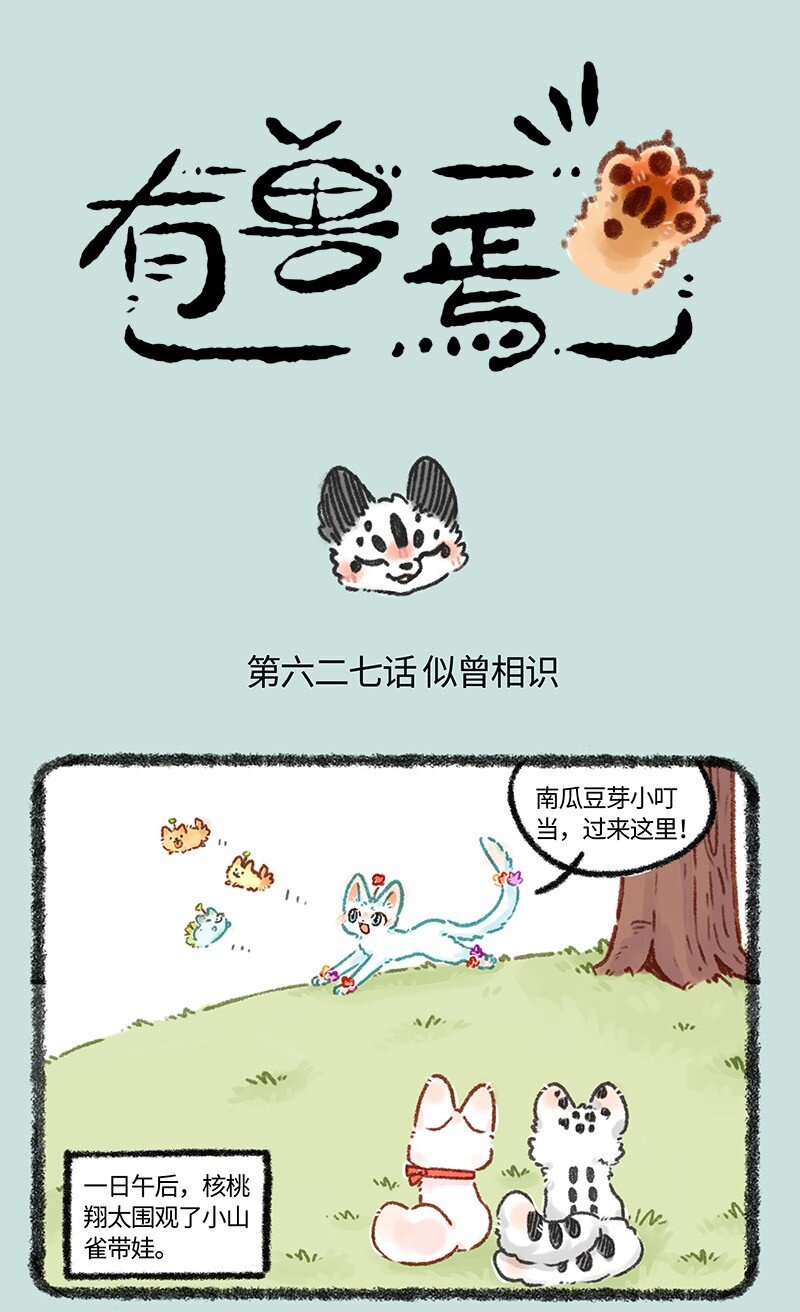627 核桃的爸爸妈妈0