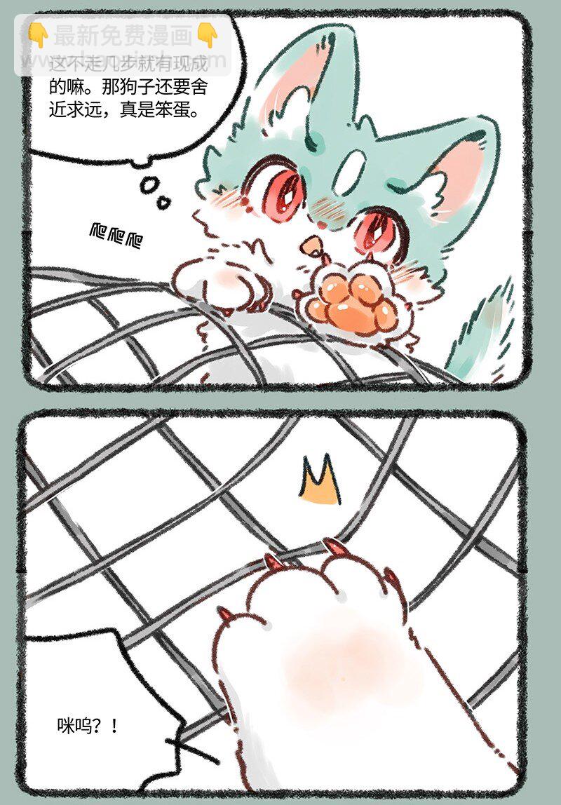 633 猫猫有爪初长成2