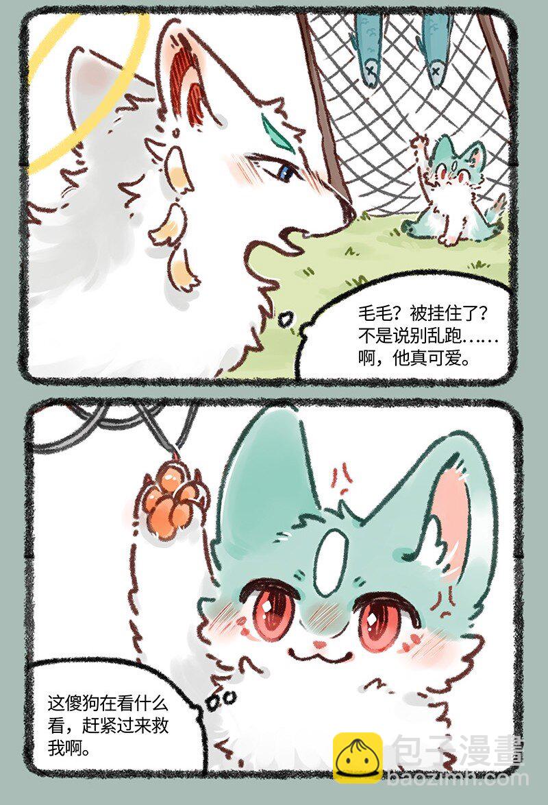 633 猫猫有爪初长成3