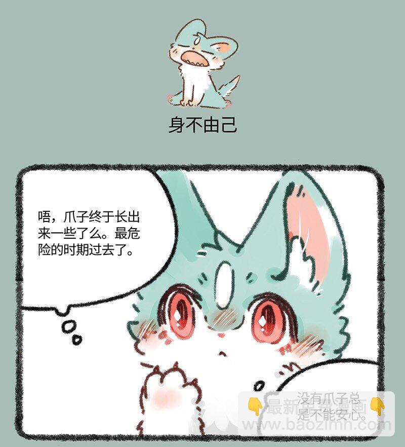 633 猫猫有爪初长成4
