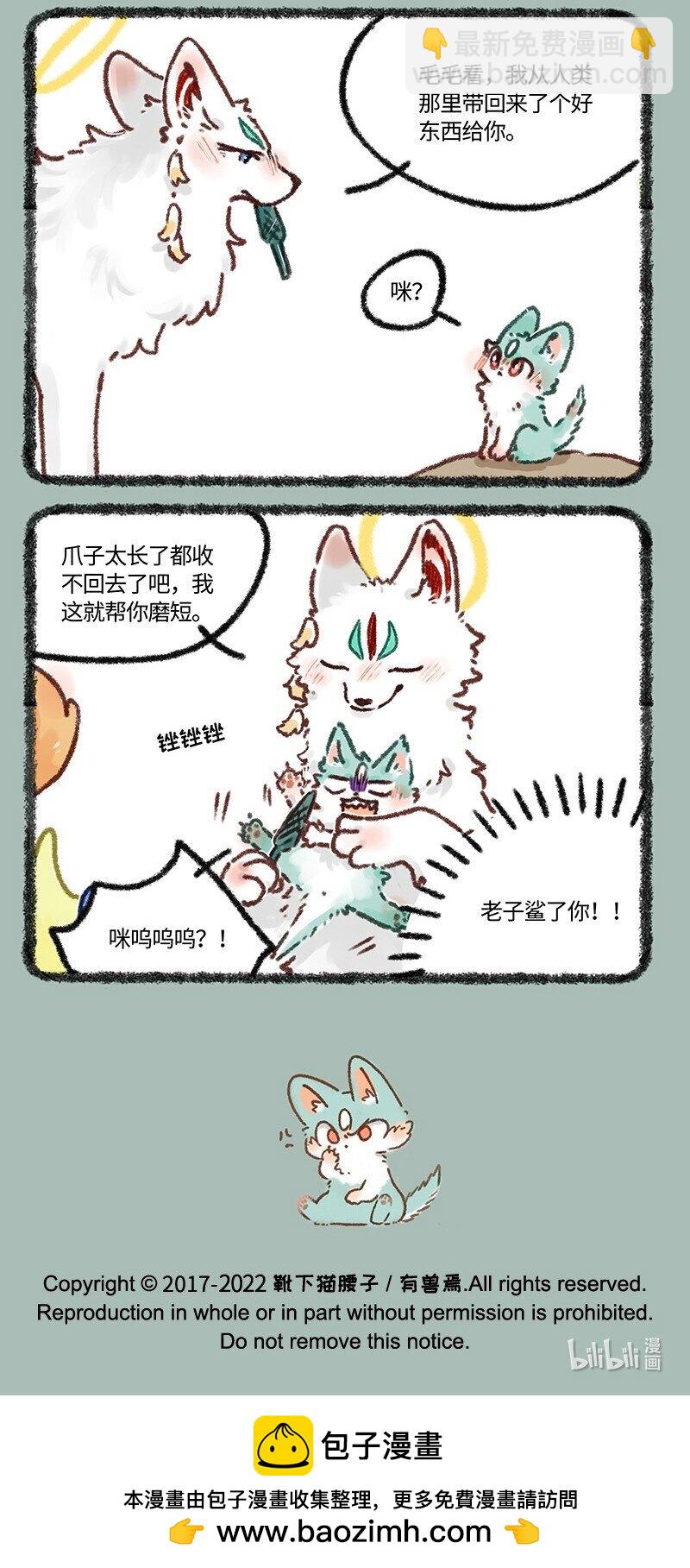 633 猫猫有爪初长成6