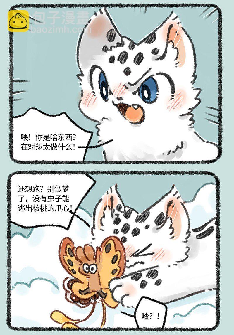 639 核桃立大功4