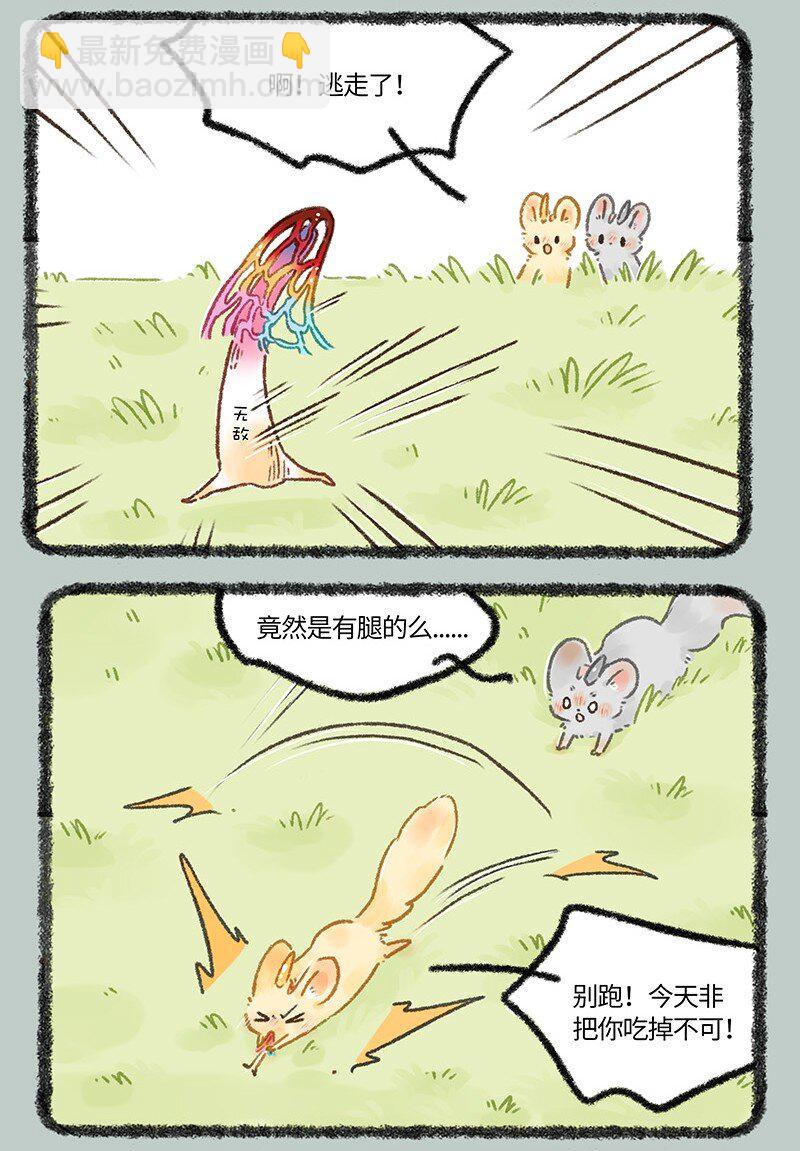 655 无敌菇5