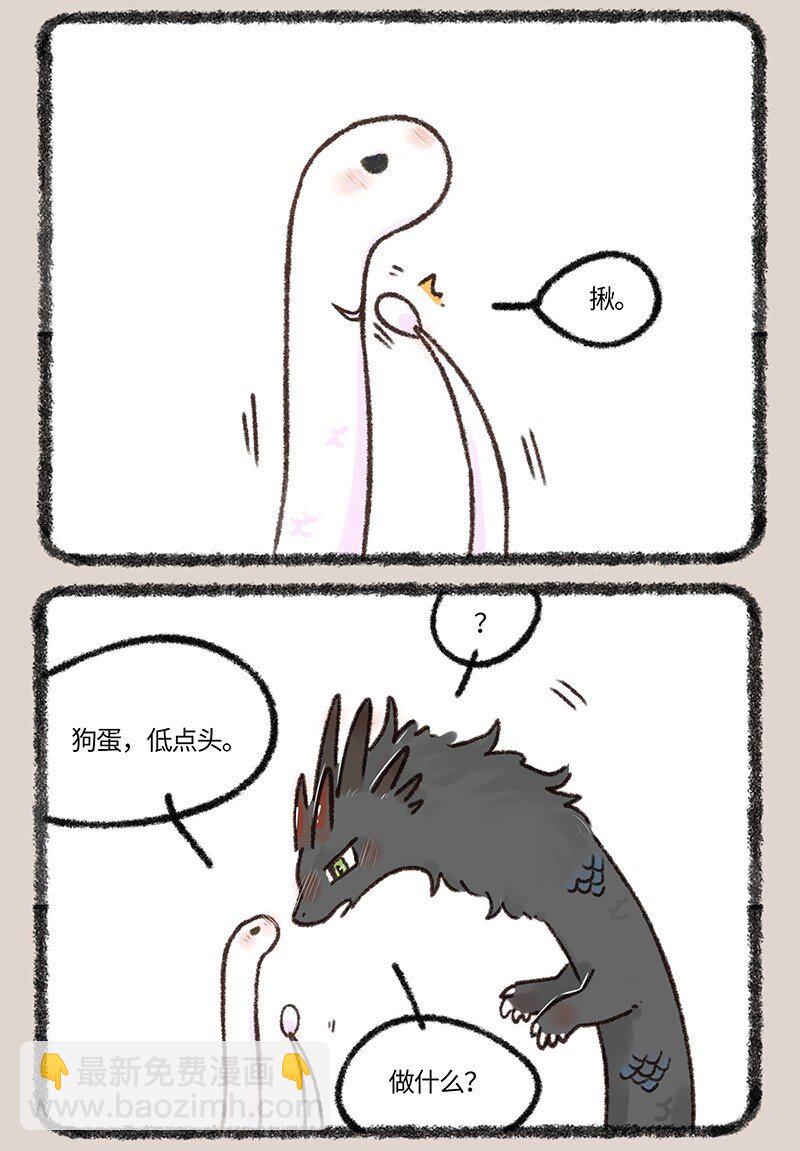 658 别出心裁的教师节礼物4