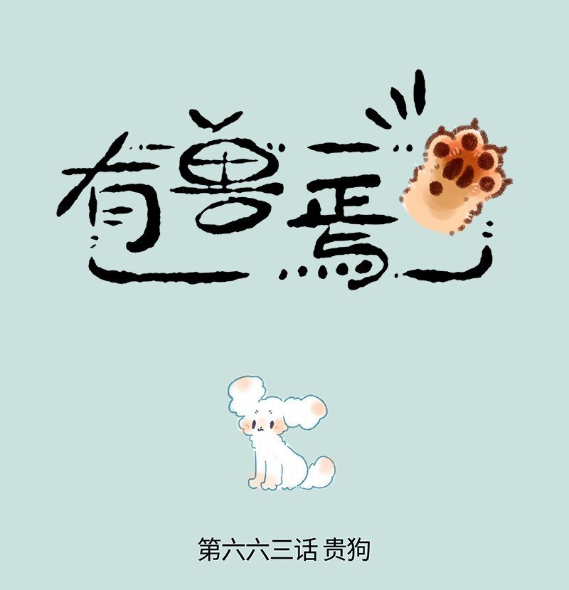 663 兔爷的贵狗0