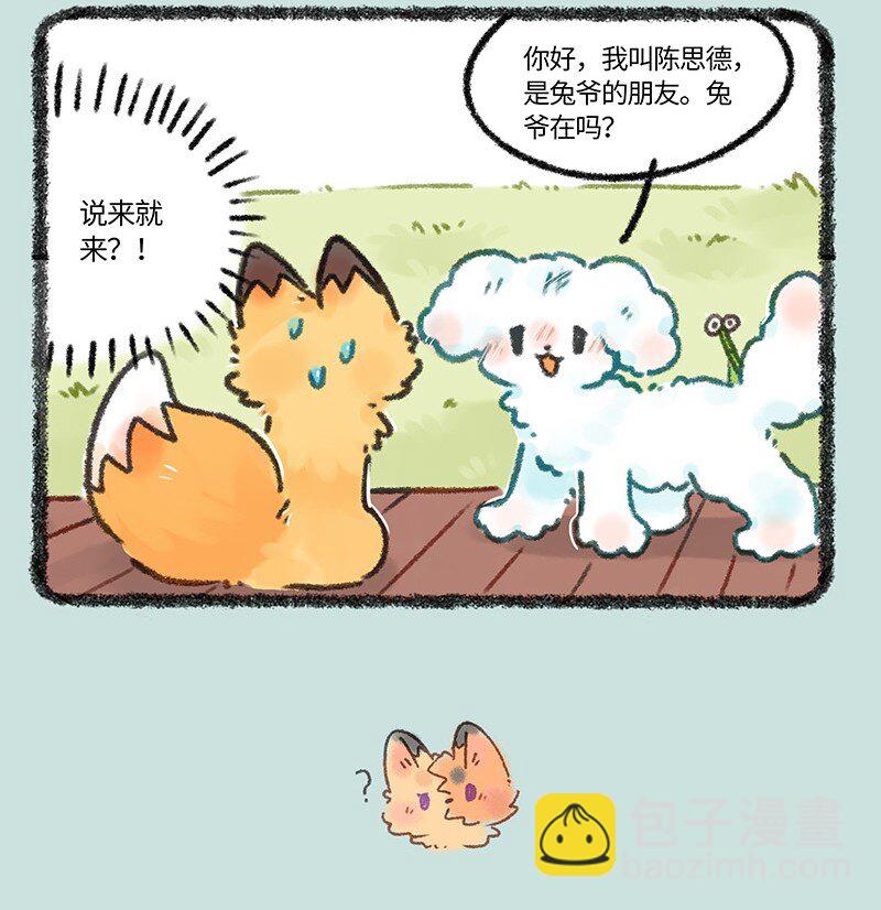 663 兔爷的贵狗3