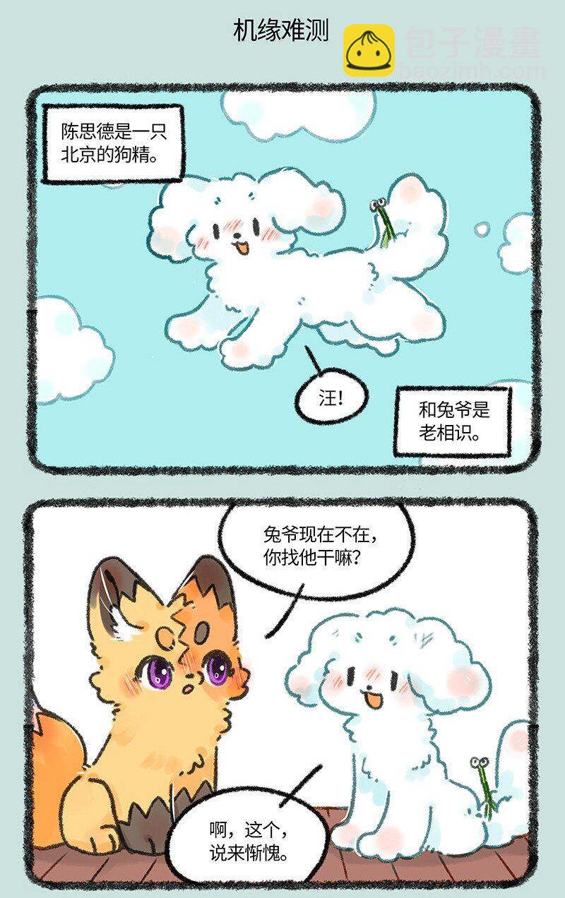663 兔爷的贵狗4