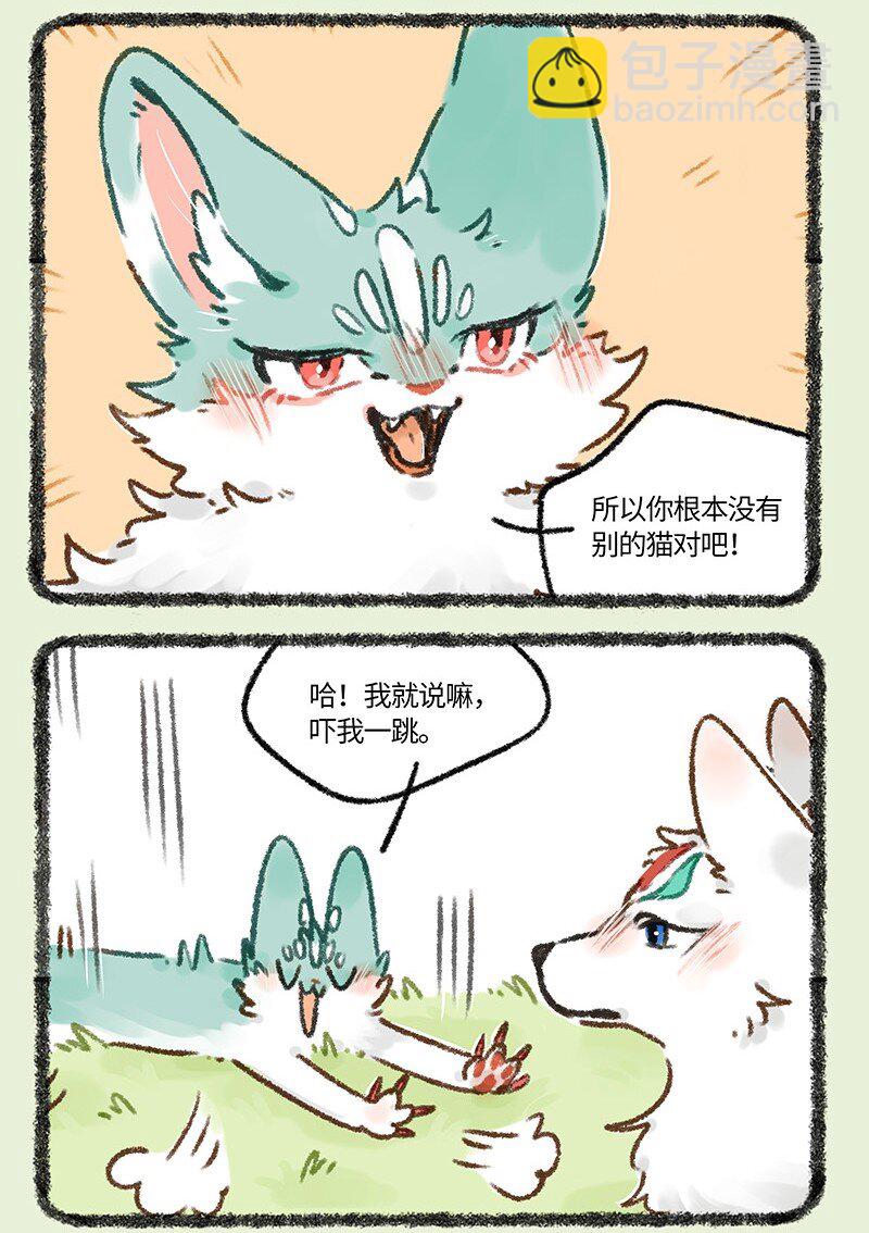 664 这种猫精埋了吧2