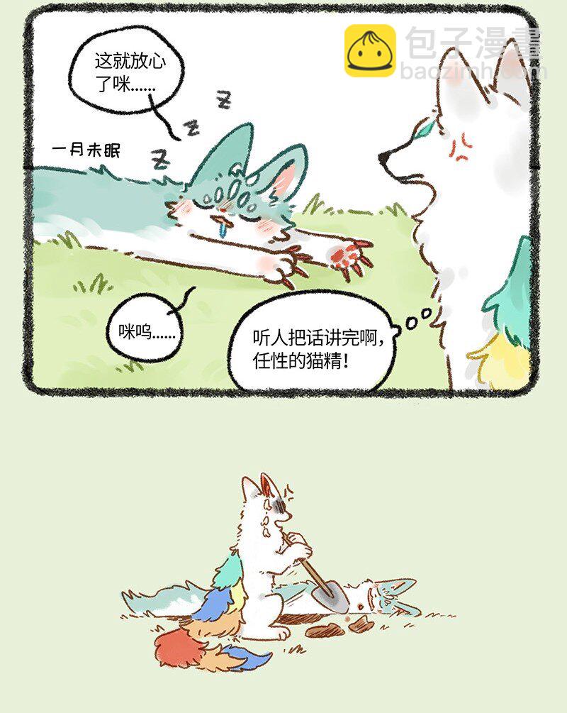 664 这种猫精埋了吧3