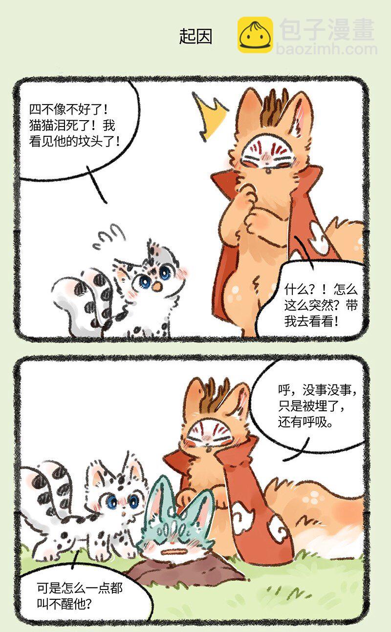 664 这种猫精埋了吧4