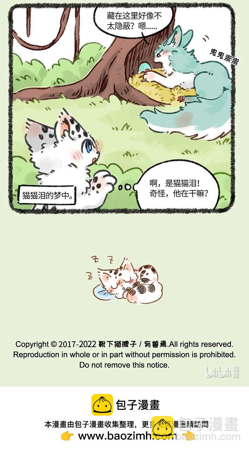 664 这种猫精埋了吧6