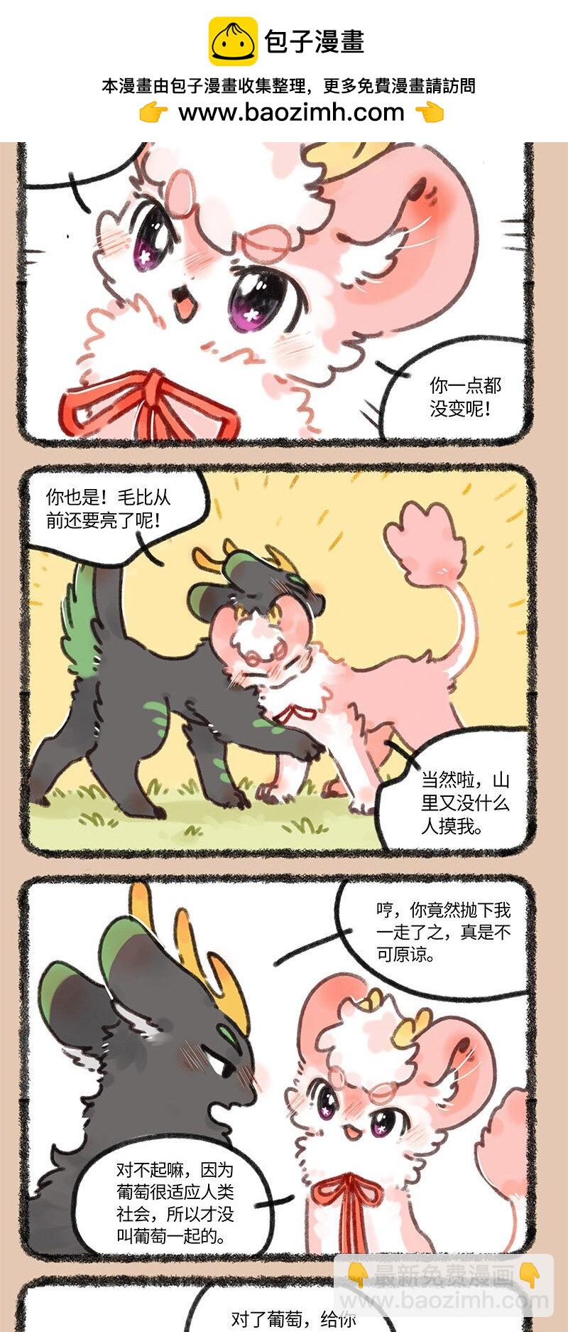 678 葡萄来啦1