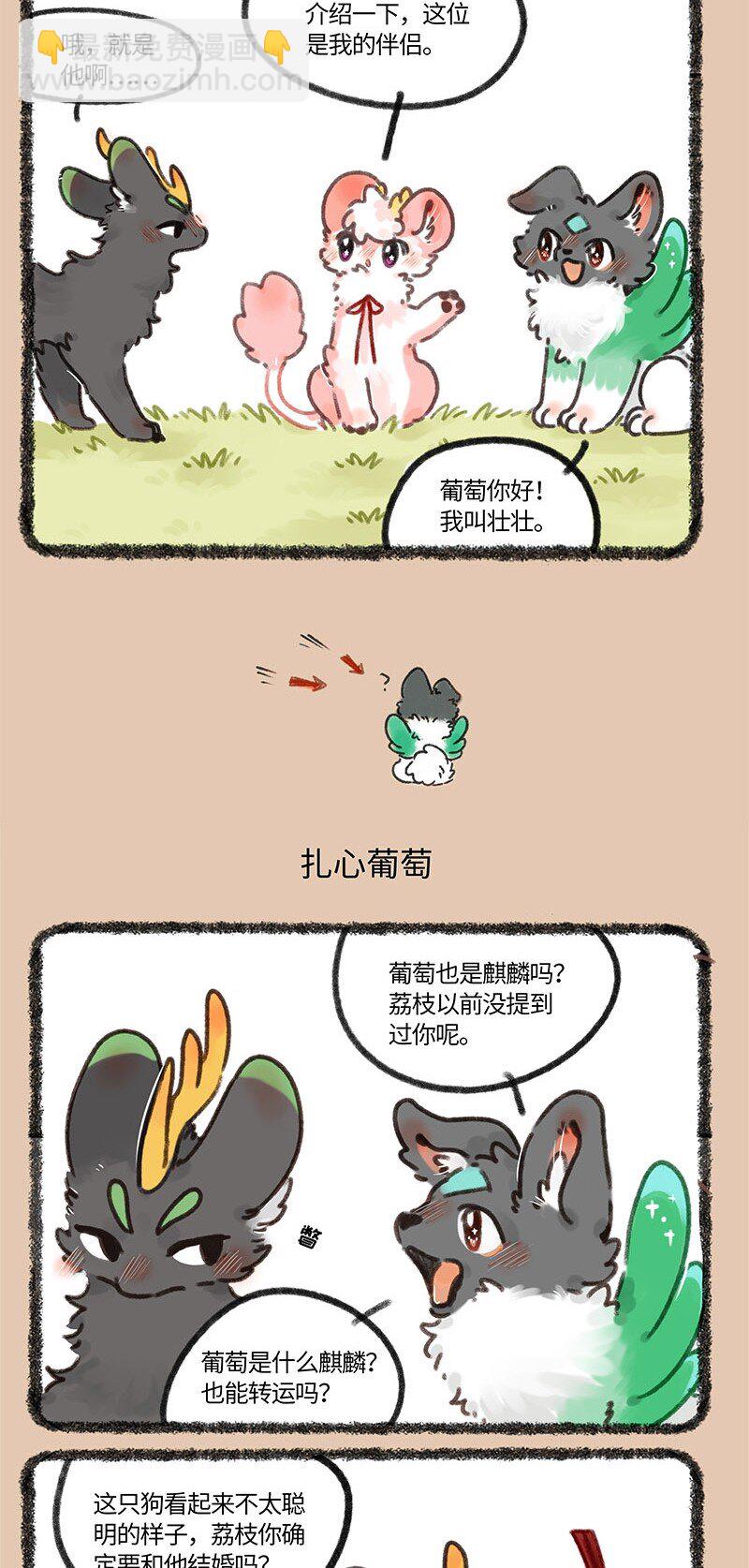678 葡萄来啦2
