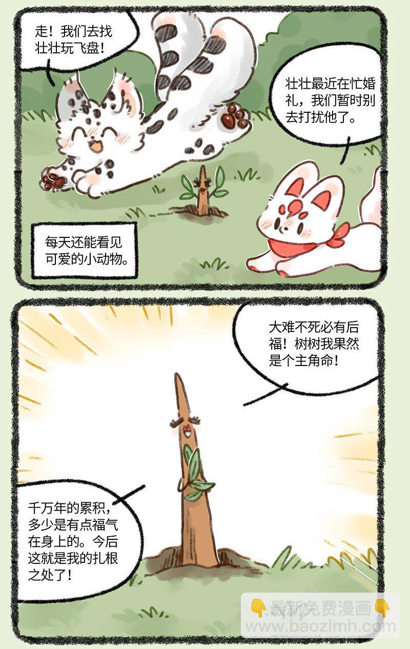 681 后院居住权2
