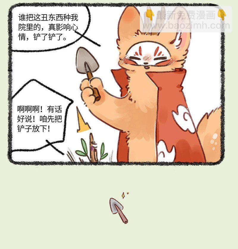 681 后院居住权3