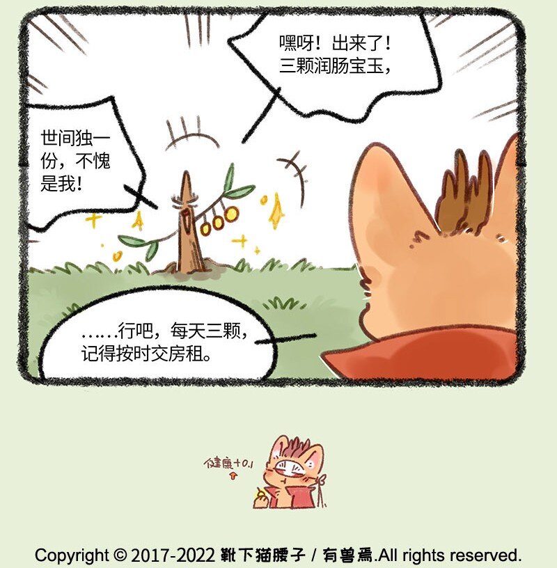 681 后院居住权6