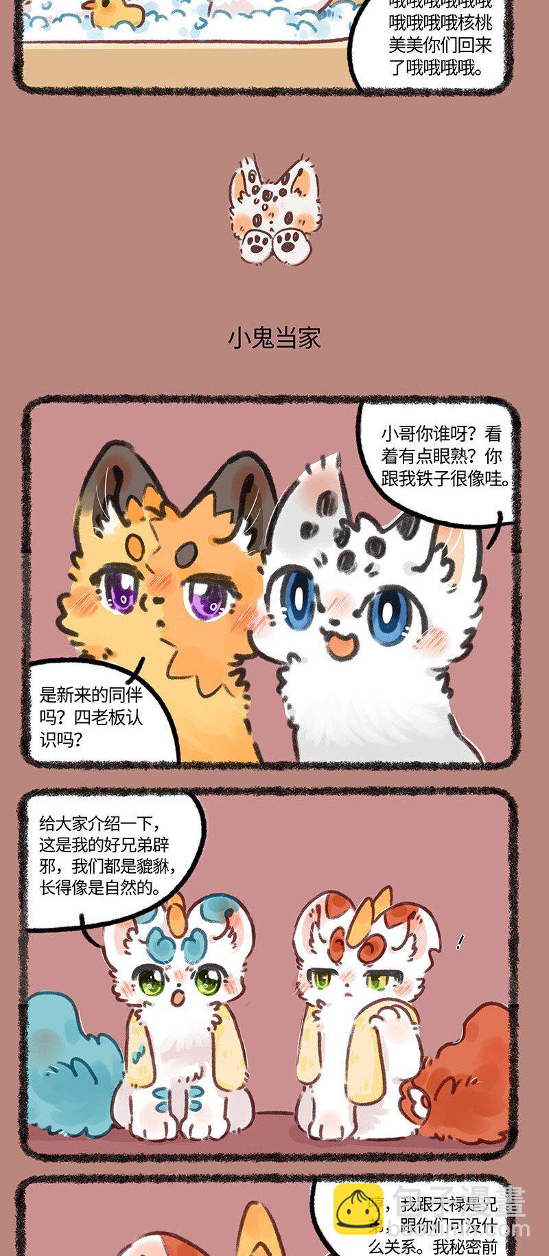 696 兄弟拆家2