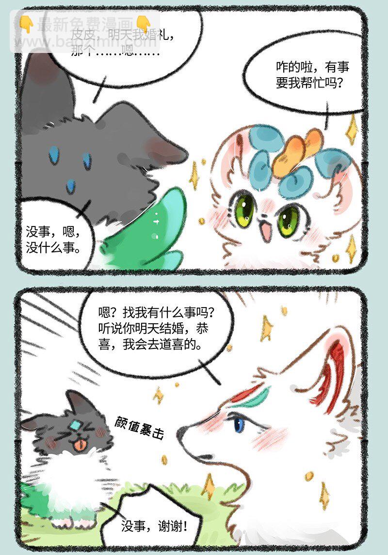 704 婚礼前的准备2