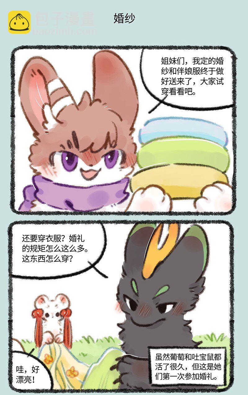704 婚礼前的准备4