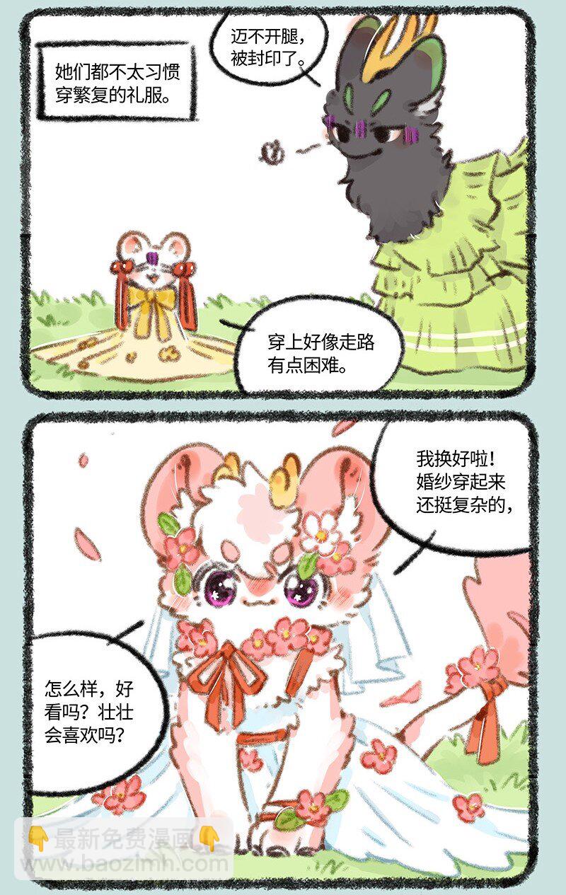 704 婚礼前的准备5