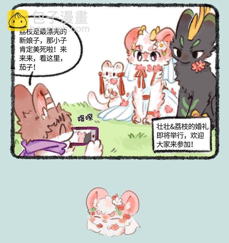 704 婚礼前的准备6