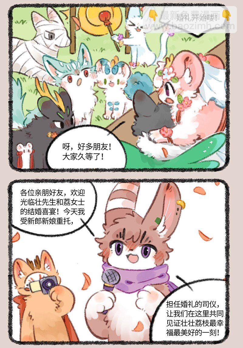 706 盛大的婚礼2