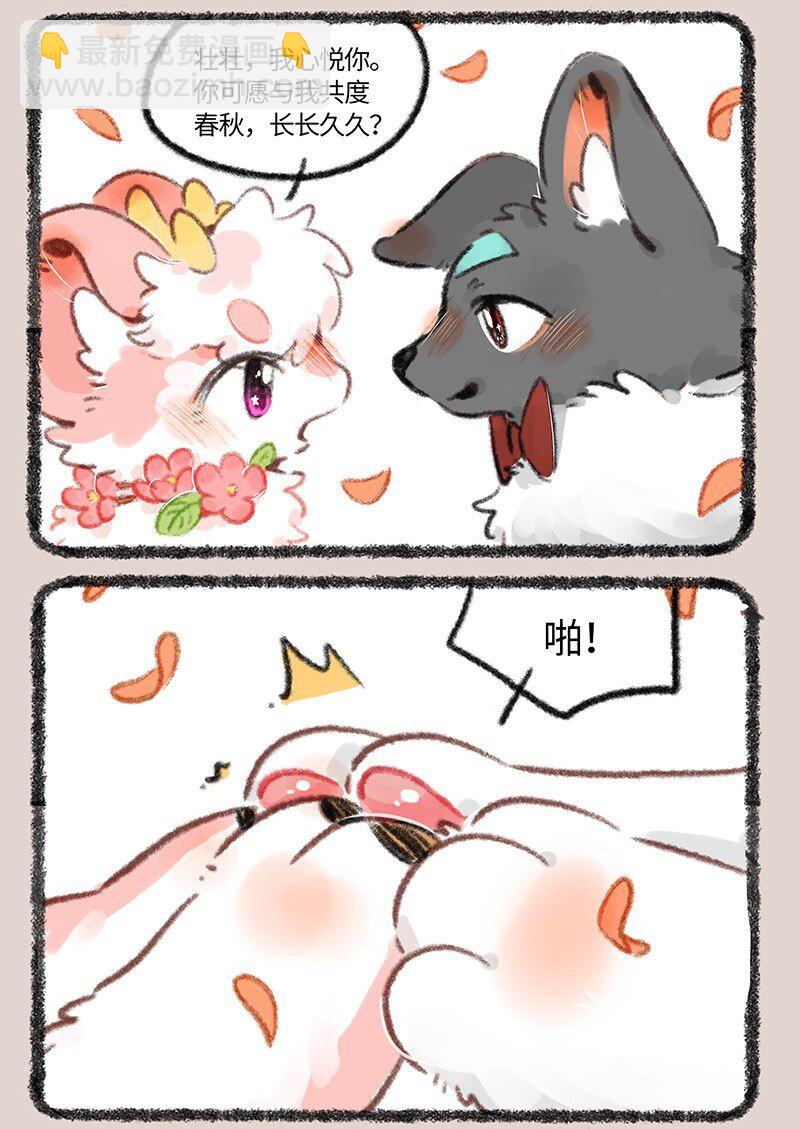 706 盛大的婚礼3