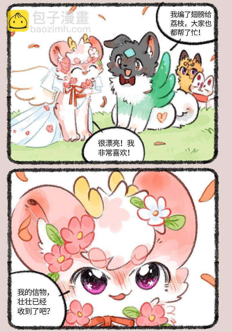 706 盛大的婚礼5