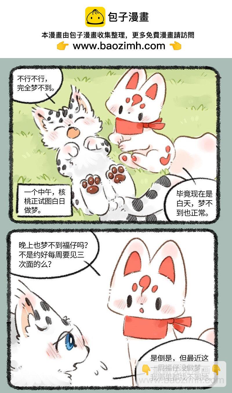 715 福仔回来啦1
