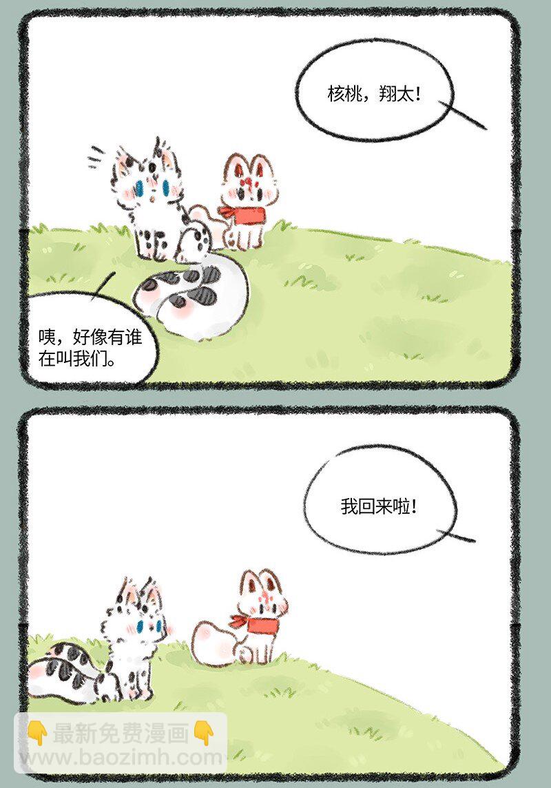 715 福仔回来啦2