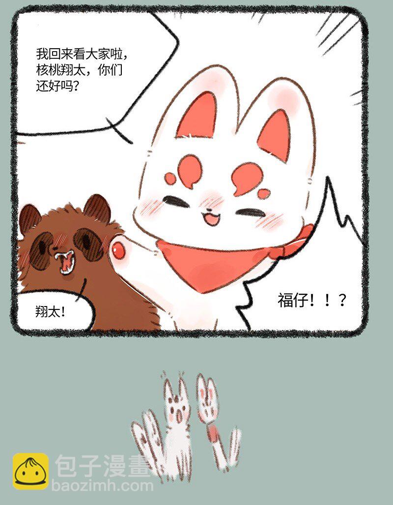 715 福仔回来啦3